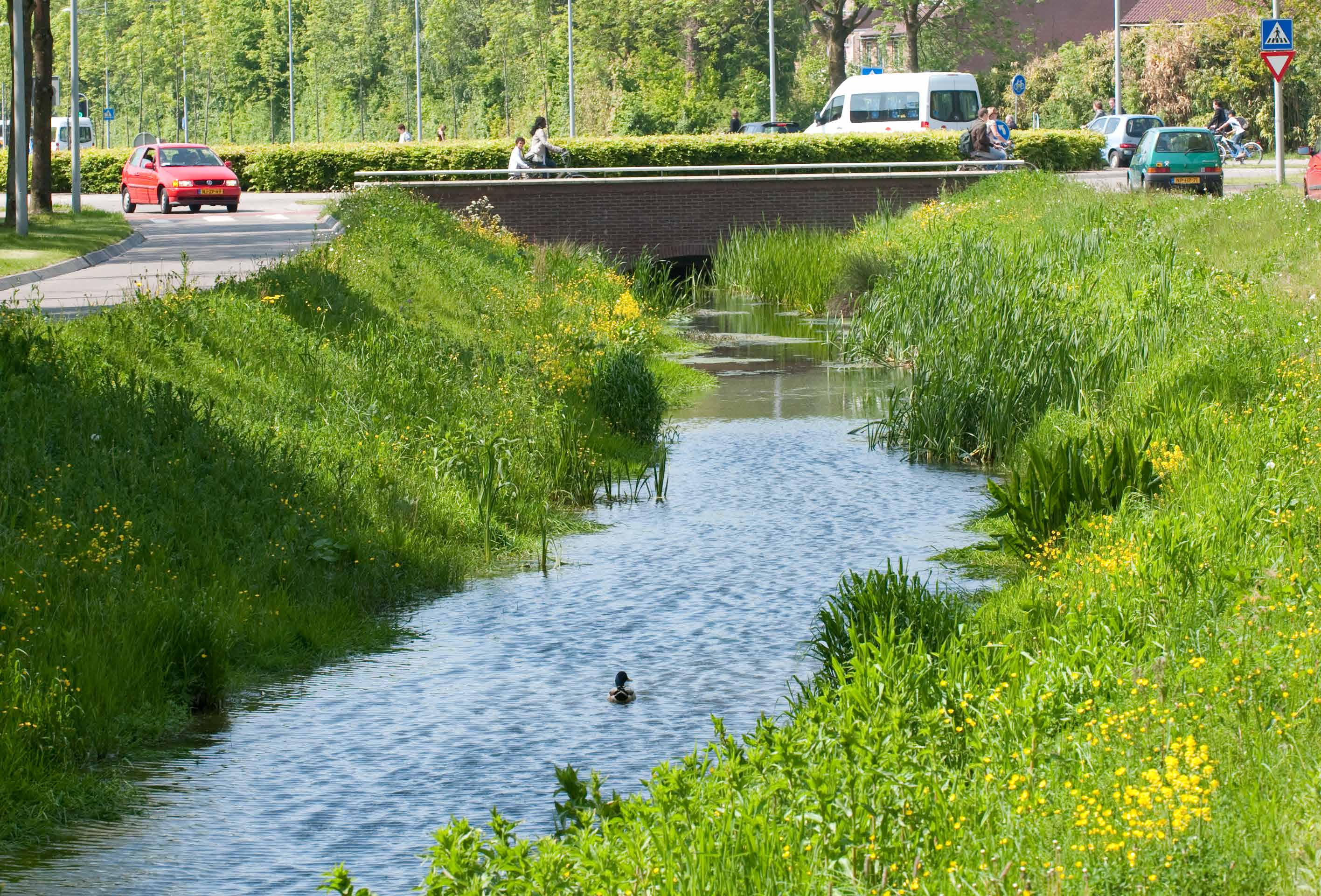 20241211 Stichting RIONED Bronnen Van Oppervlaktewaterverontreiniging Een Onderzoek Naar Verhoudingen Foto Voorkant