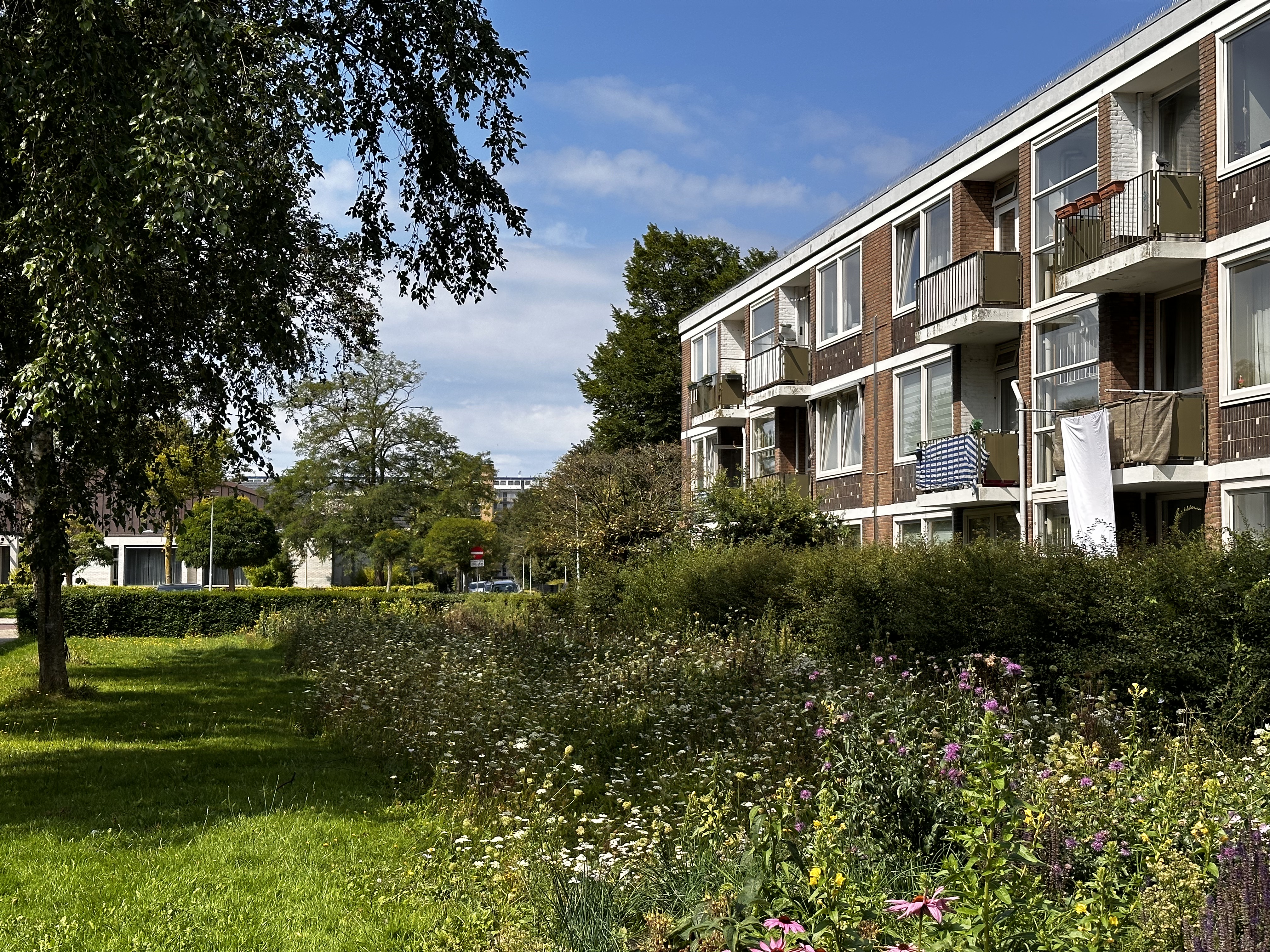FOTO Tervisie Richtlijnen Infiltratievoorzieningen Foto Elwin Leusink MA